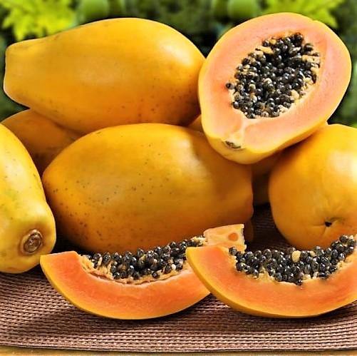 Papaya Tree, شجرة البابايا