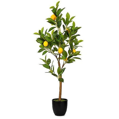 Lemon Tree
