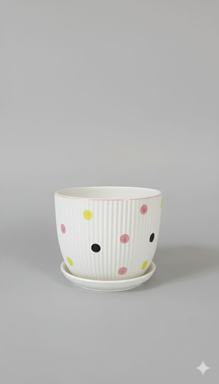 Pots Ceramic Indoor Plants