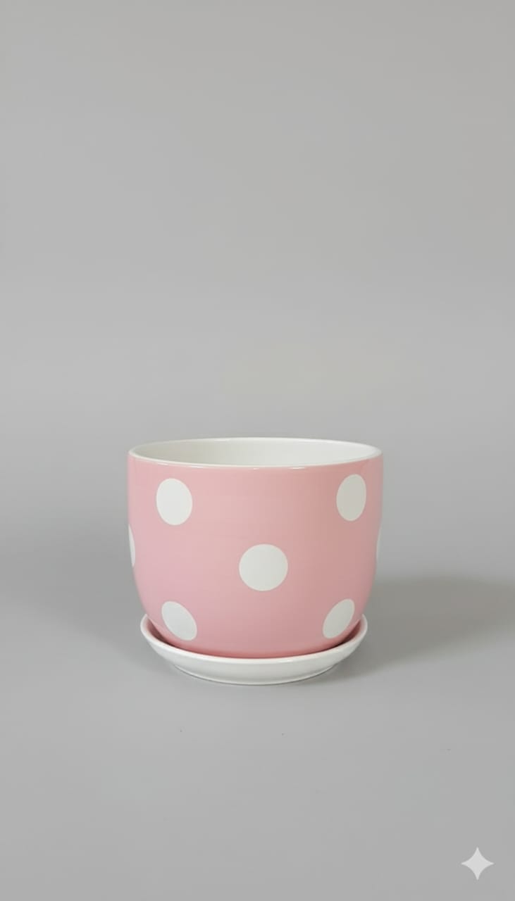 Pots Ceramic Indoor Plants