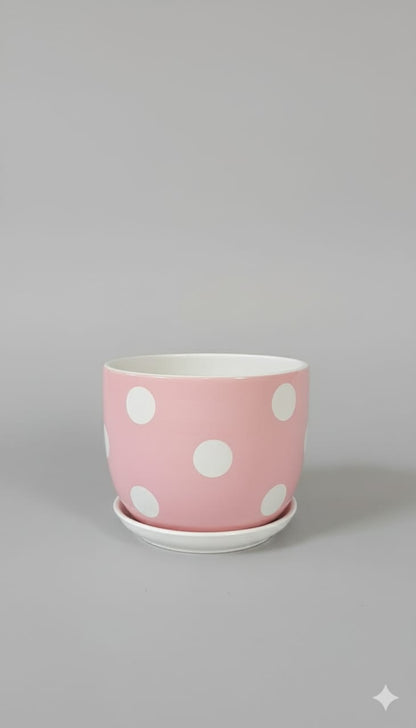 Pots Ceramic Indoor Plants