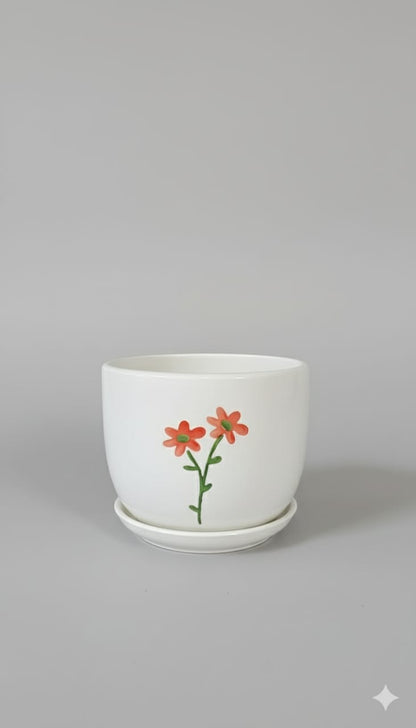 Pots Ceramic Indoor Plants