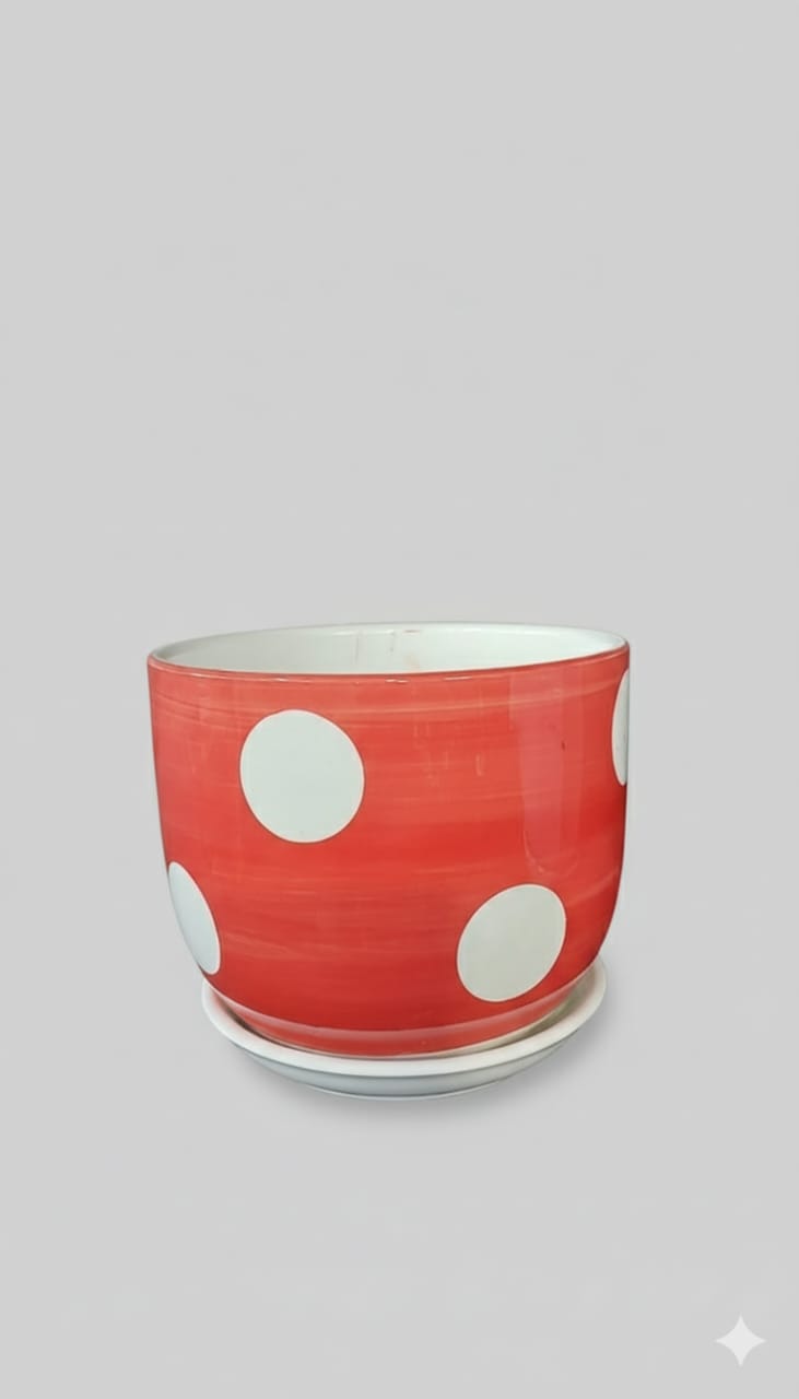 Pots Ceramic Indoor Plants