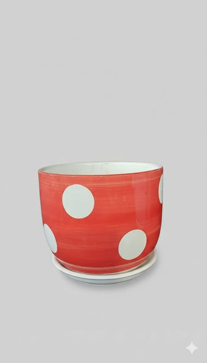 Pots Ceramic Indoor Plants