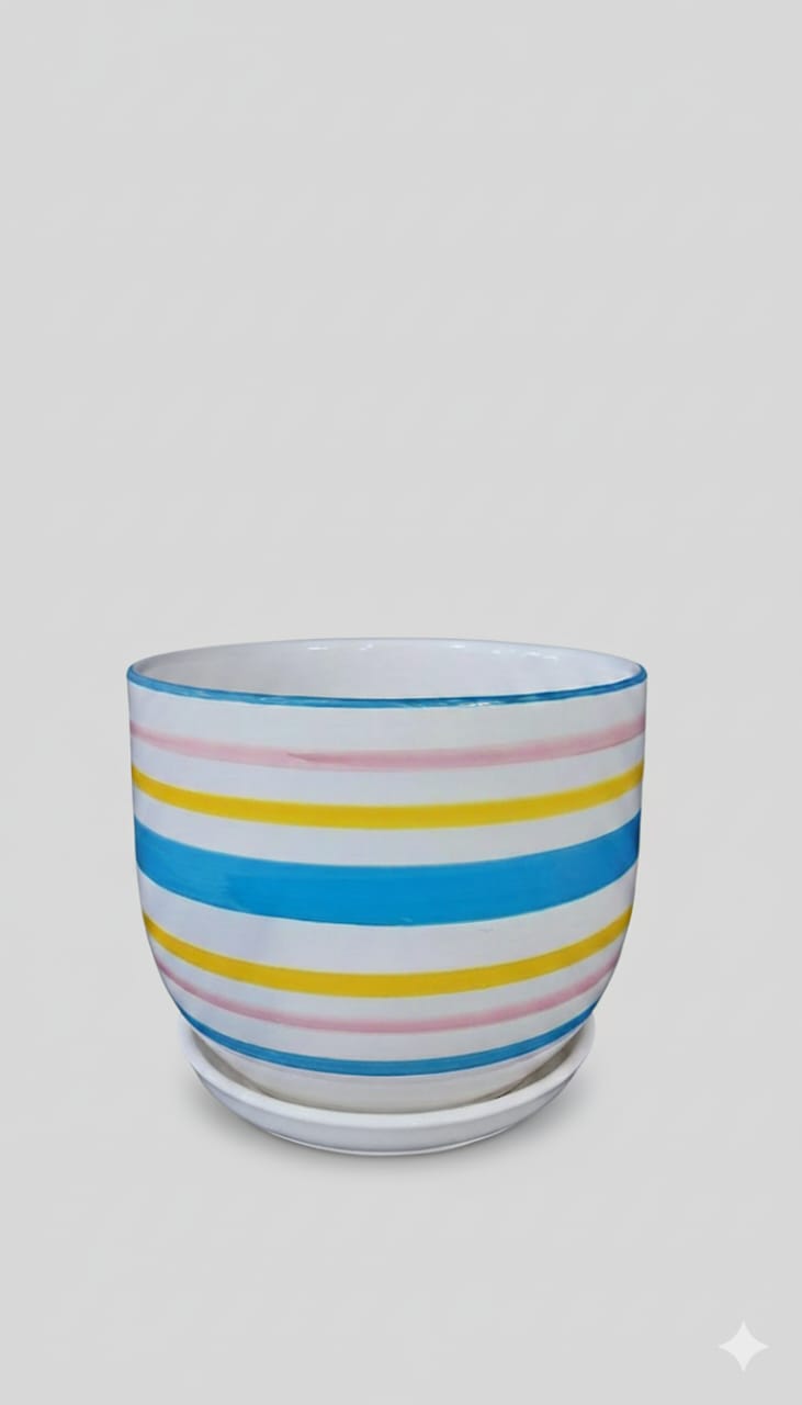 Pots Ceramic Indoor Plants