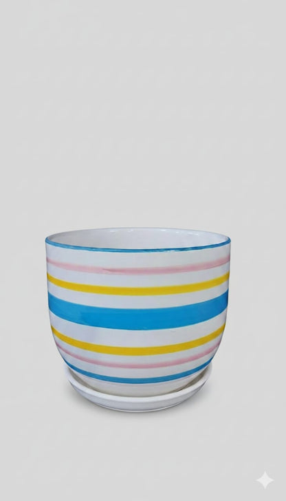 Pots Ceramic Indoor Plants