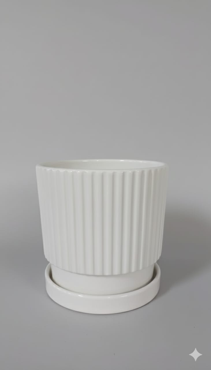 Pots Ceramic Indoor Plants