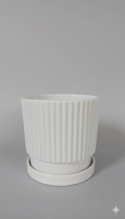 Pots Ceramic Indoor Plants